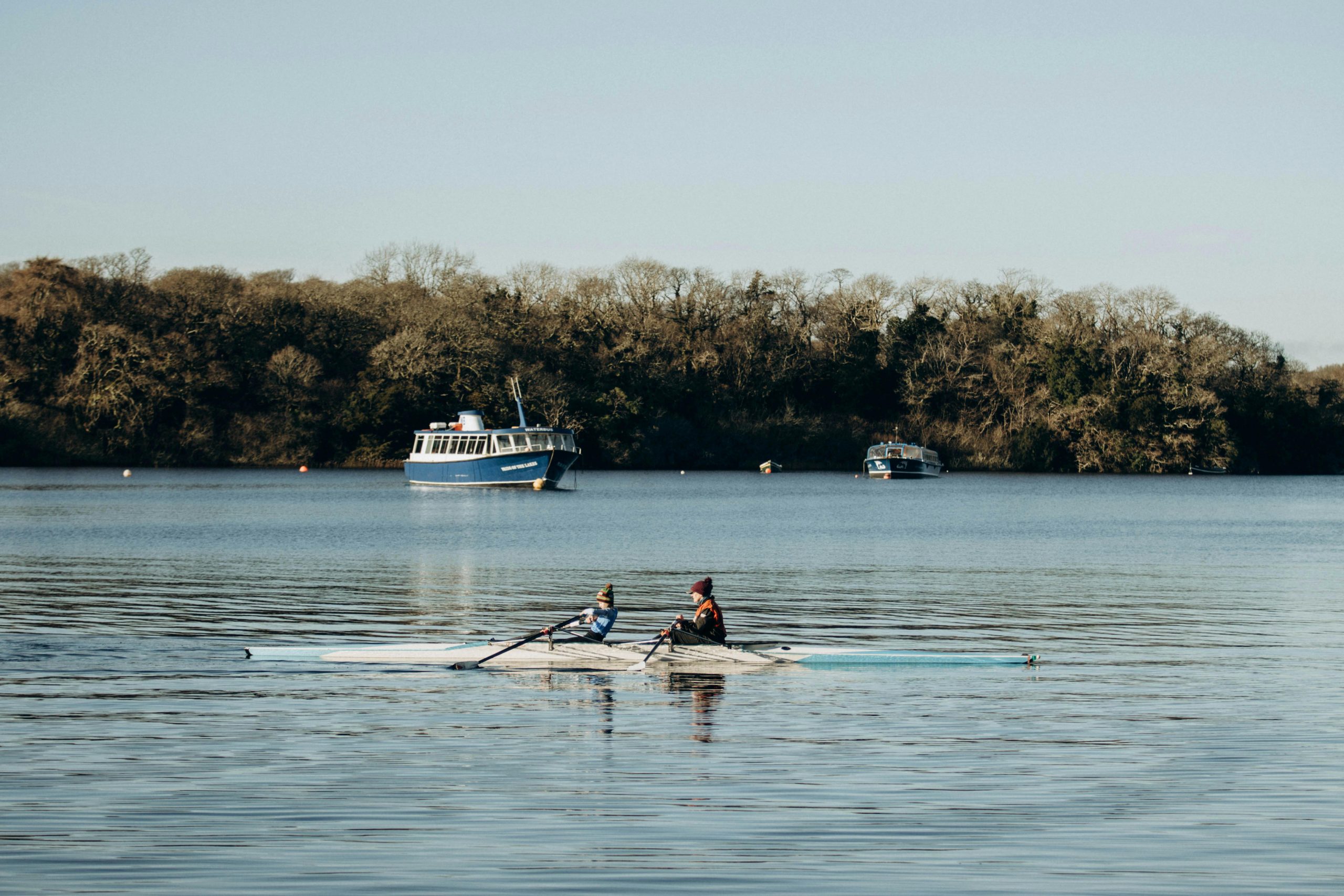 Programme rameur cardio musculation 4 semaines