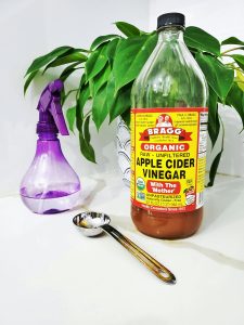 Vinaigre de cidre en bouteille avec vaporisateur et cuillère près d'une plante d'intérieur