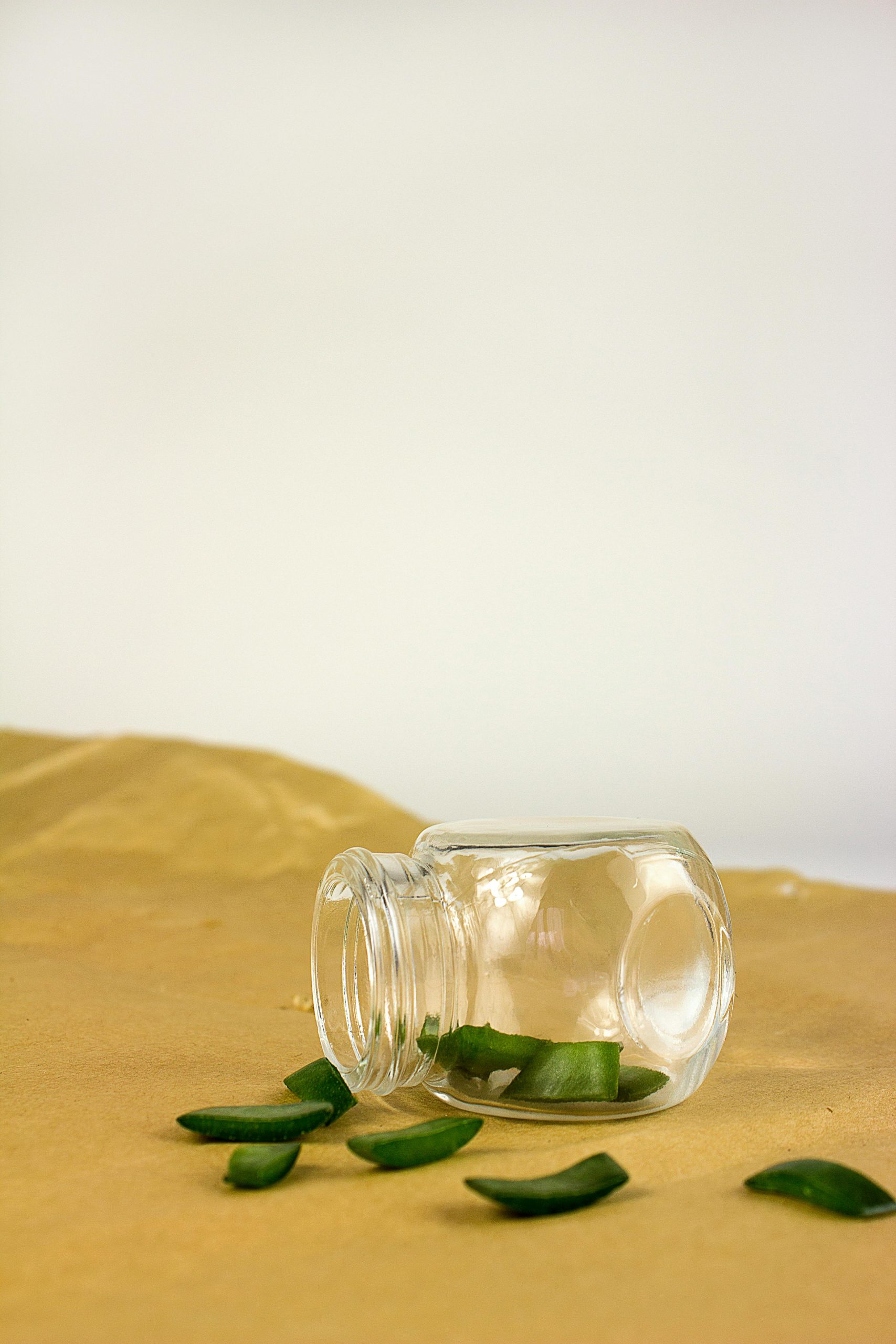 Aloe vera boisson bienfaits guide