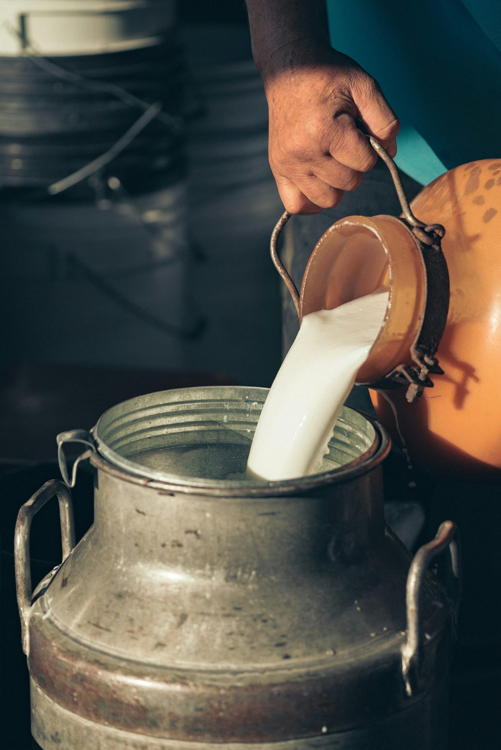Close-up de lait versé dans un récipient en acier inoxydable par une main.