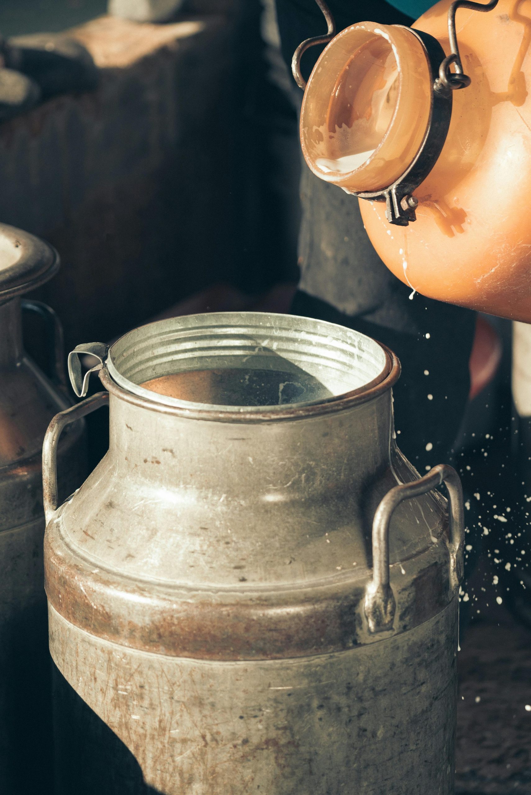 Bénéfices pour la santé du lait de brebis