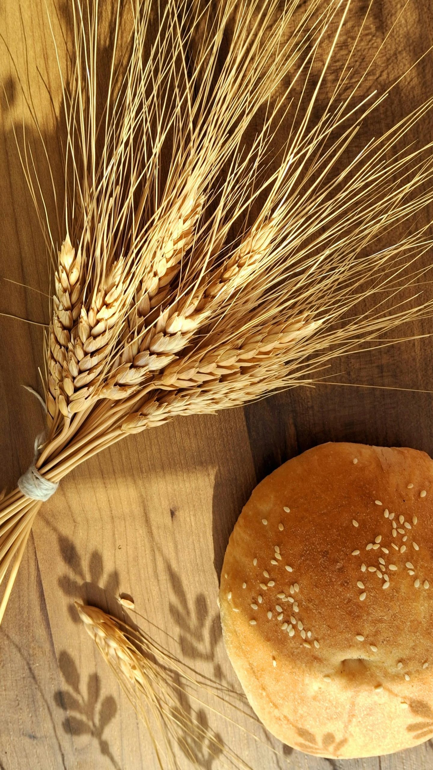 Épis de blé dorés et un petit pain au sésame frais sur une table en bois rustique.