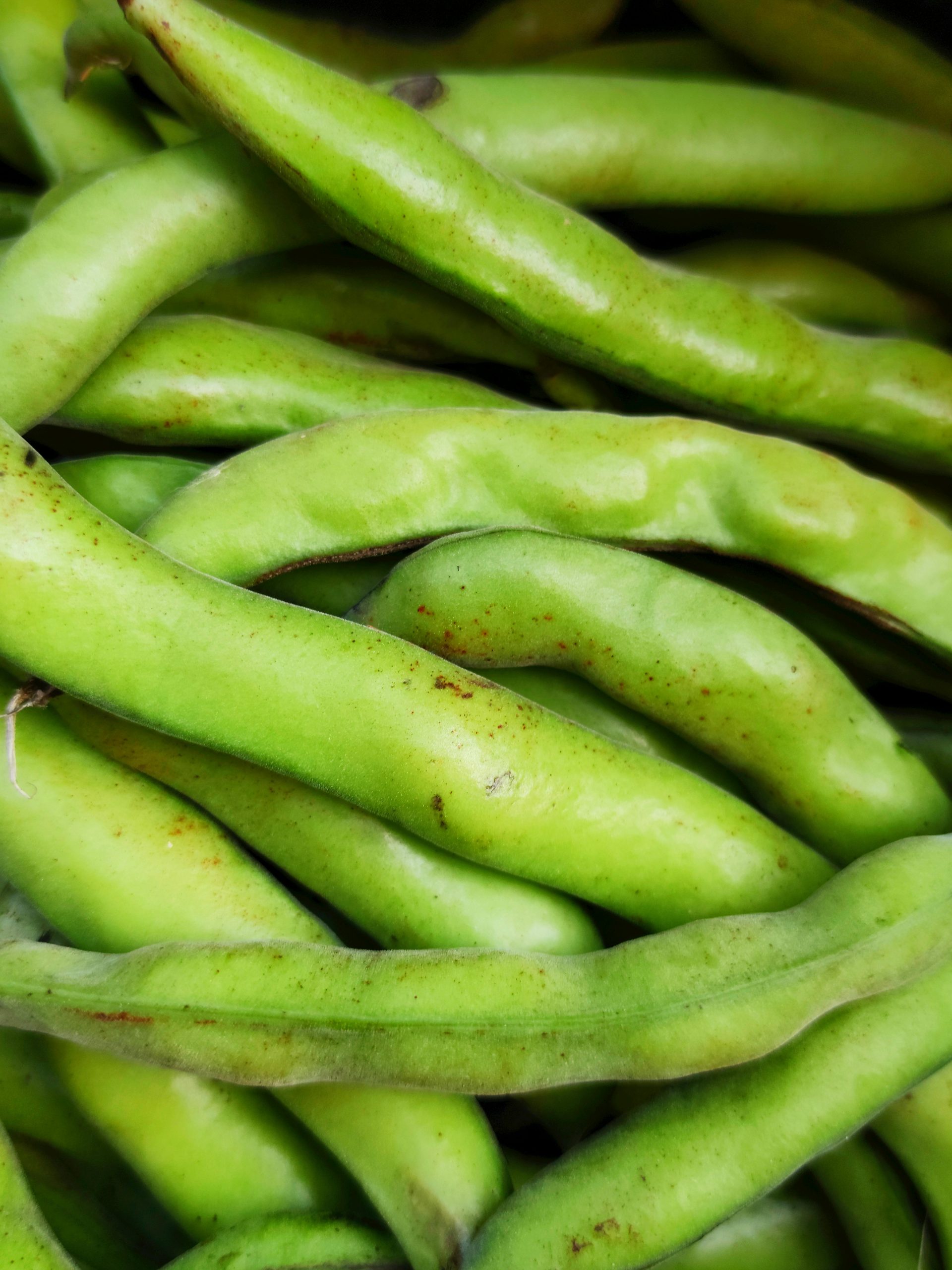 Cuisson parfaite des haricots beurre frais