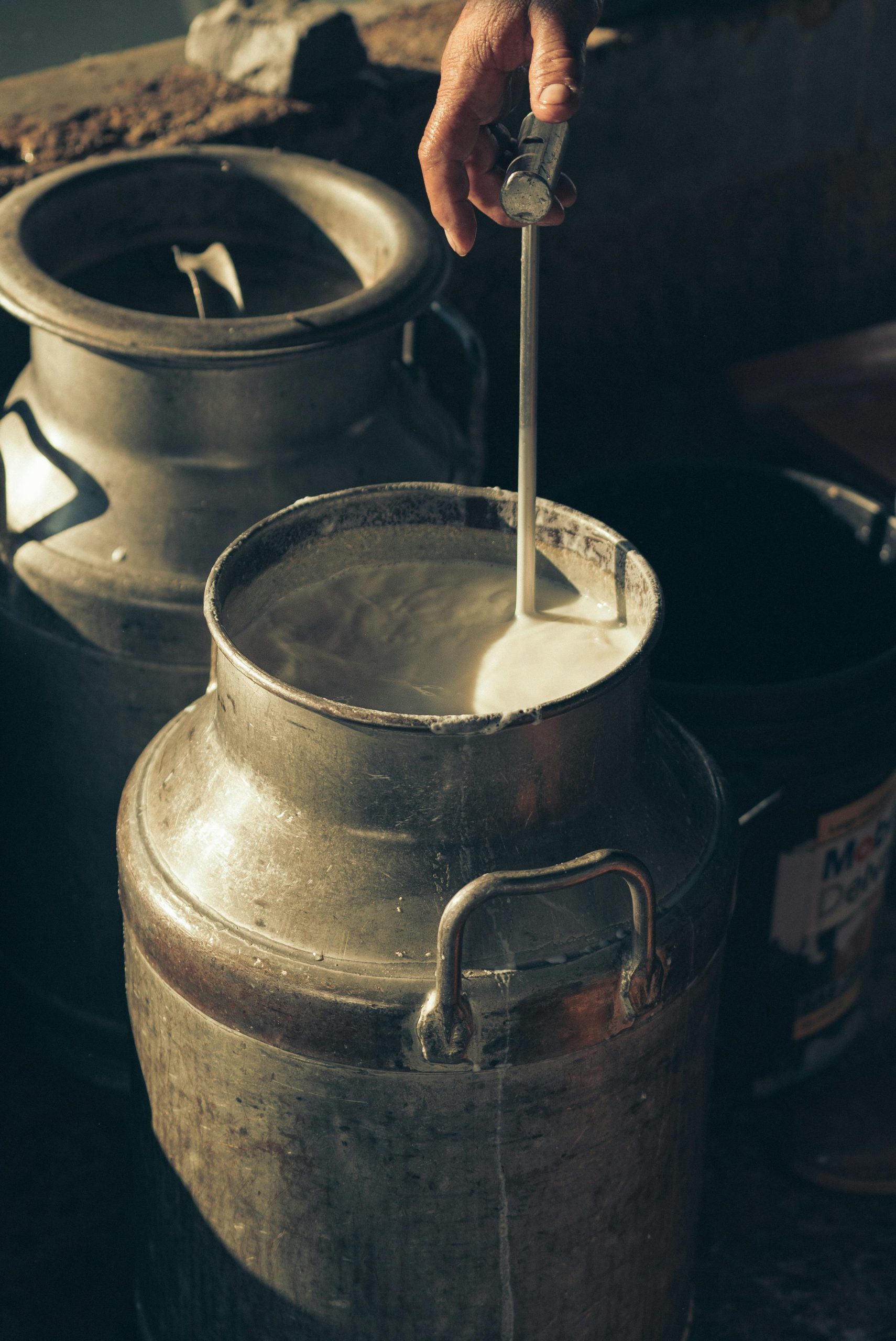 Atouts nutritionnels du lait de brebis
