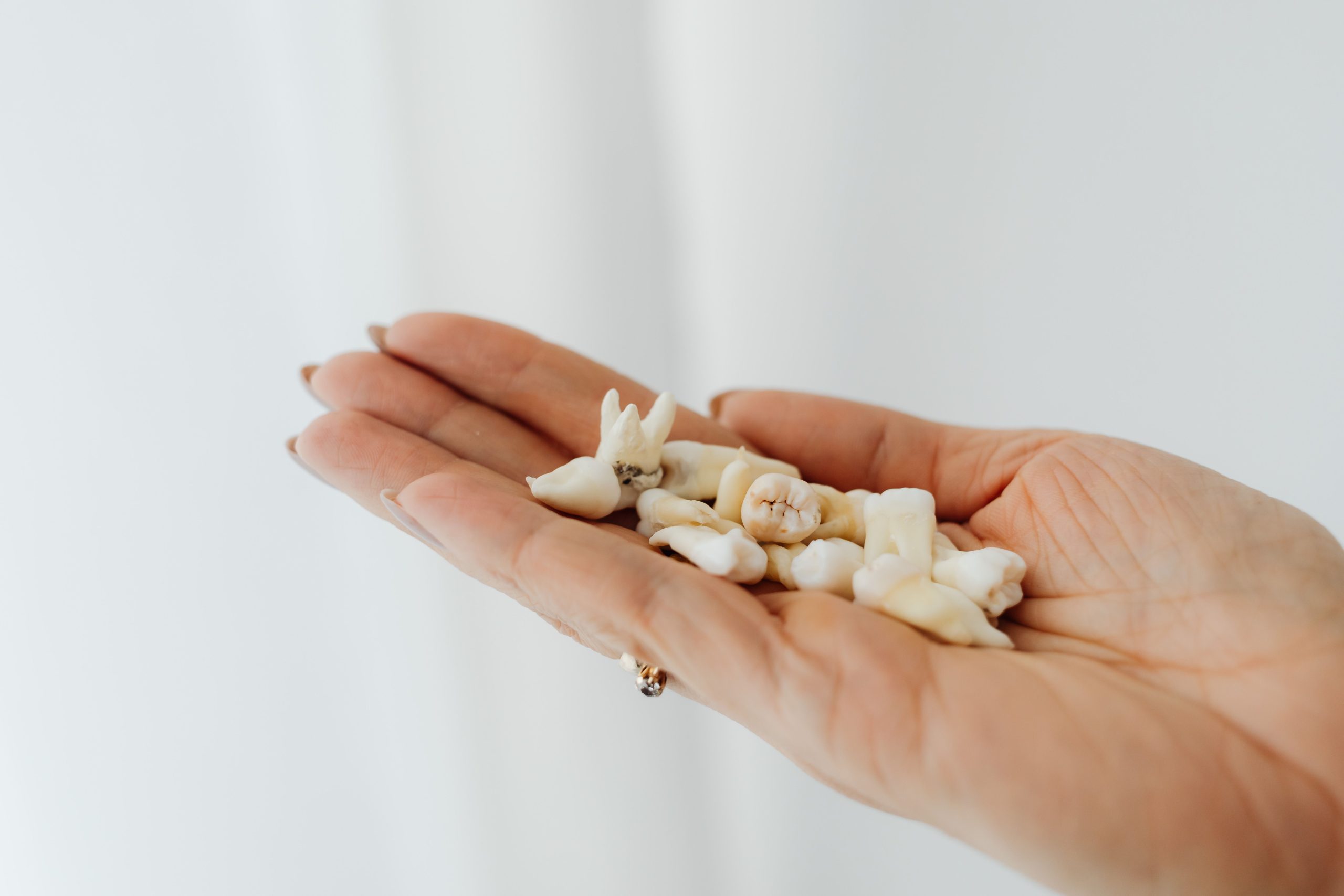 Close-up image of human teeth held in a hand, set against a white background. Image en gros plan de dents humaines tenues dans une main, sur fond blanc.