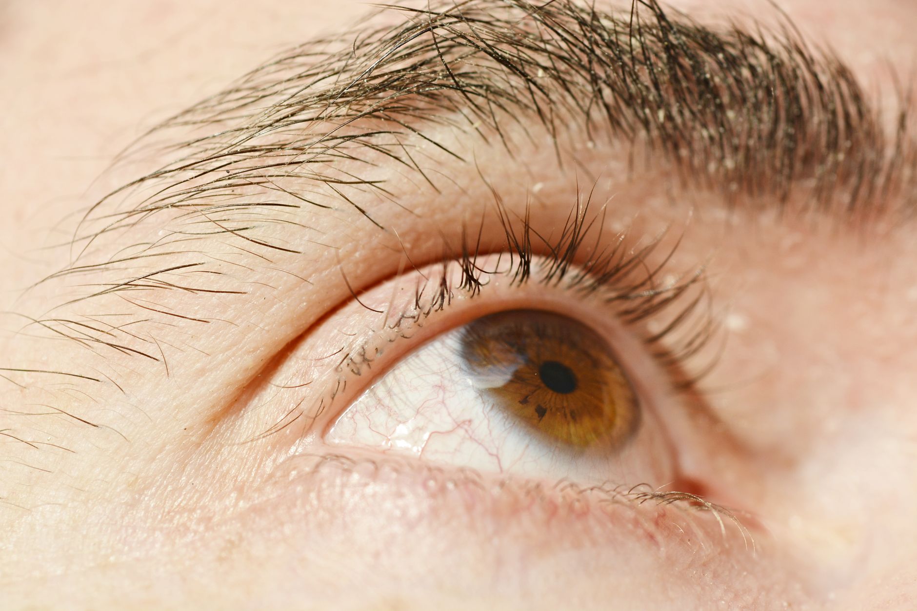 Regard marron en gros plan pour la sante visuelle