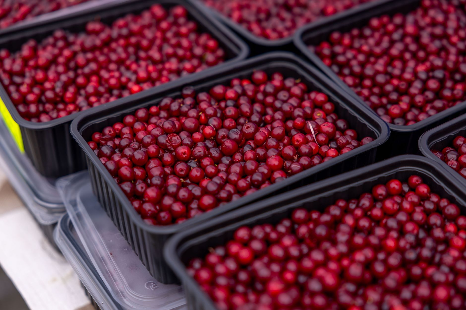 Bol de canneberges rouges