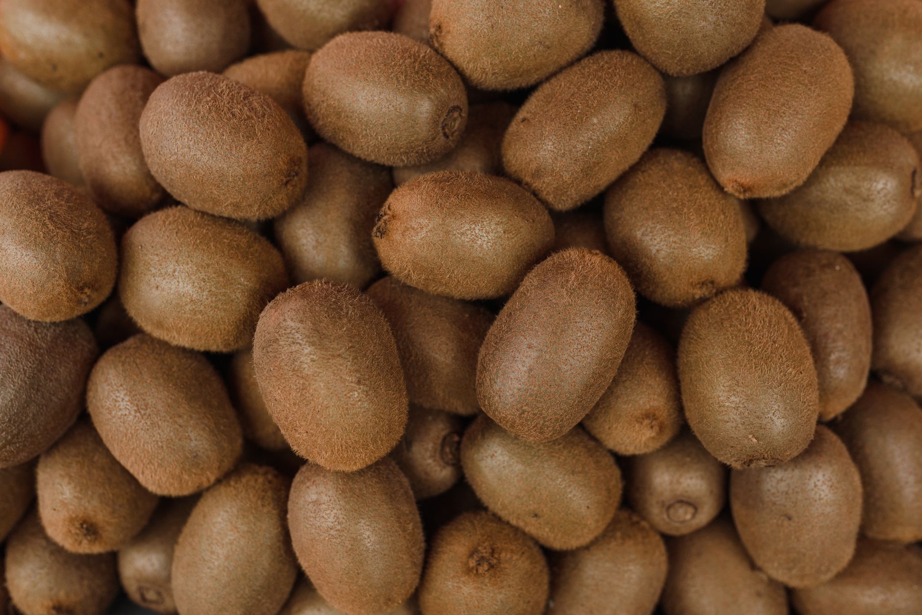Bouquet de kiwis mûrs en gros plan