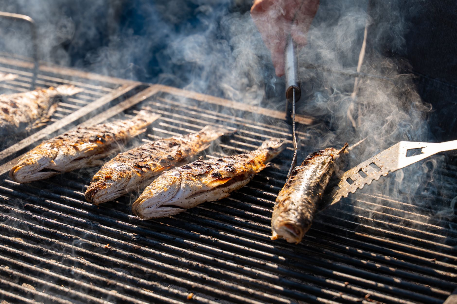 Assiette de poisson grillé et légumes