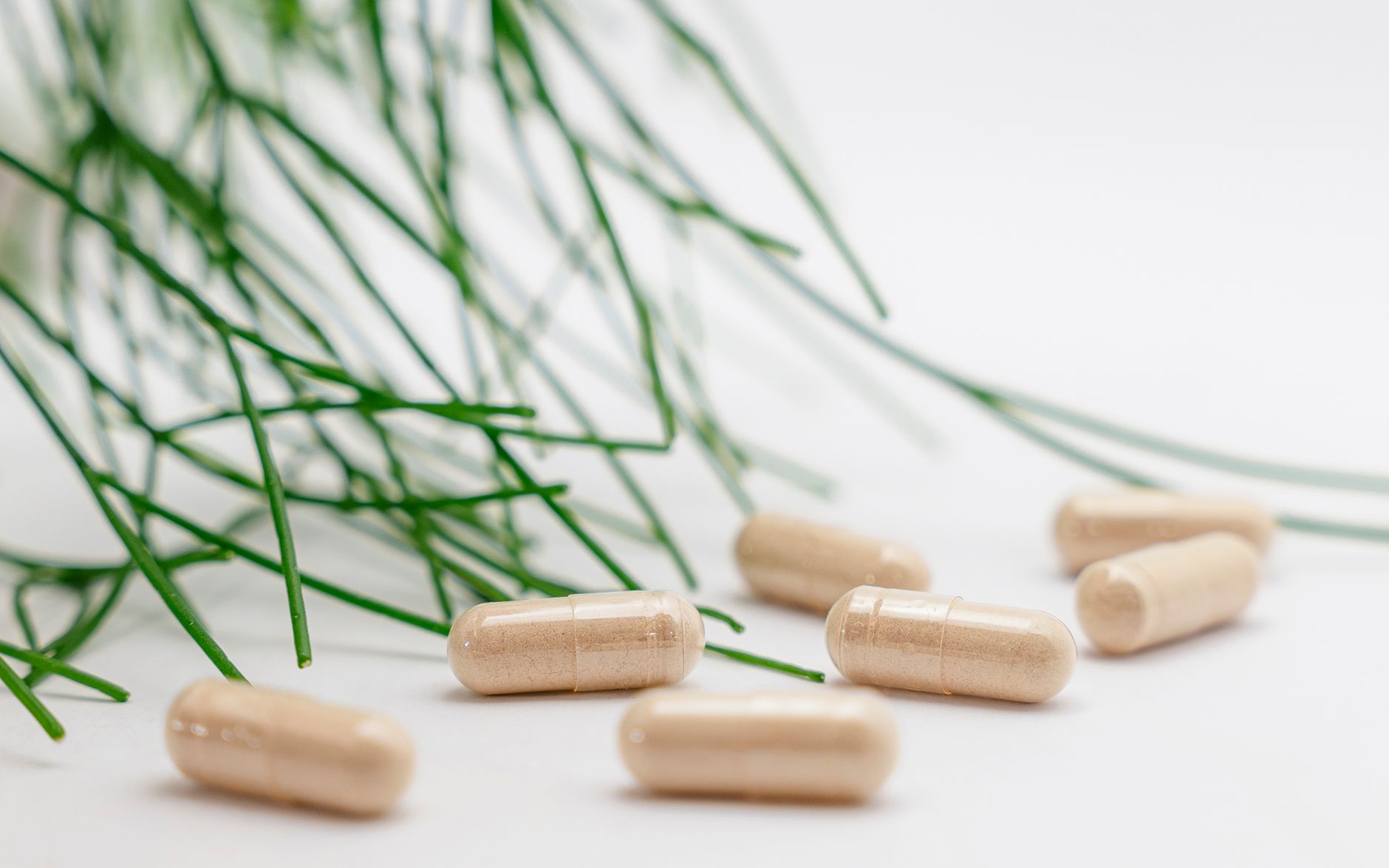 Gélules de complément à base de plantes