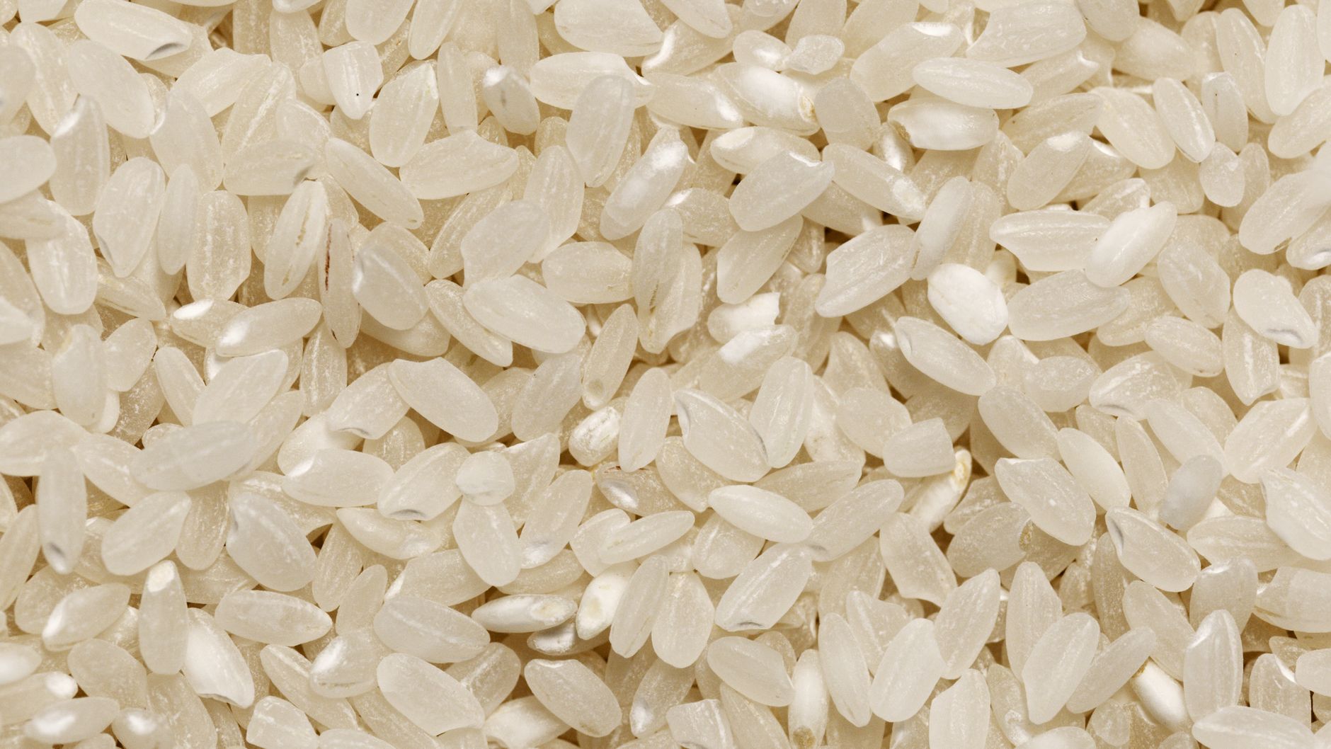 Grains de riz blanc cru en gros plan